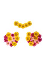 Fleurs séchées adhésives Nipztix Indio Empress