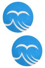 Pasties cache-tétons bleu bébé motif mouettes