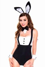 Kit d'accessoires lapin sexy