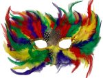 Masque plume multicolore festif