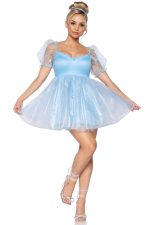 Robe princesse en organza givré
