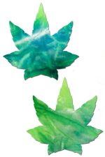 Pasties tie dye marin Indica en velours
