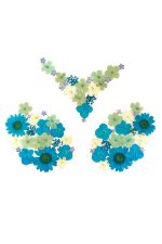 Spring fling cache-tétons fleurs séchées