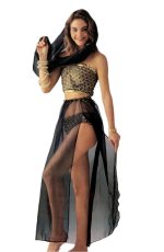 Costume princesse orientale avec voile