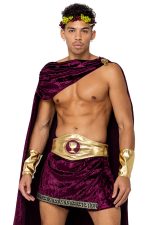 Costume dieu grec du vin pour homme
