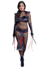 Costume d'assassin sexy grande taille