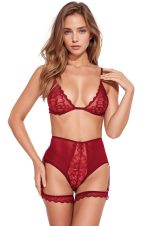 Ensemble lingerie plume mesh et jarretelles
